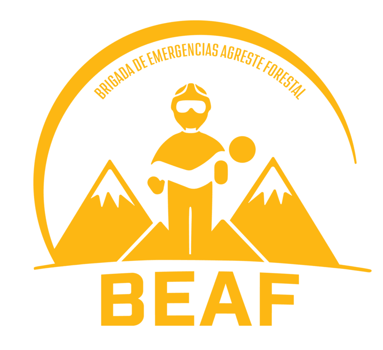 Logo BEAF